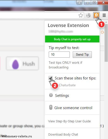 Вибратор LovenseLush для повышения заработка веб моделей