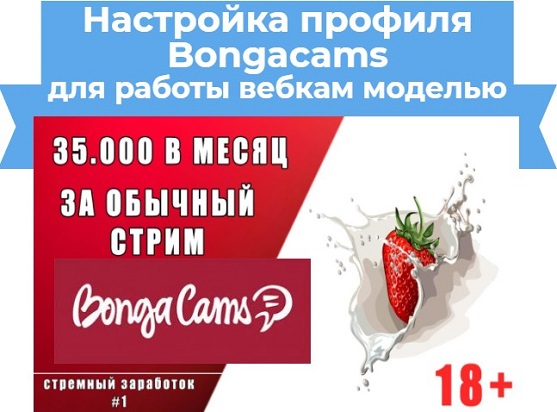 как заработать в bongacams
